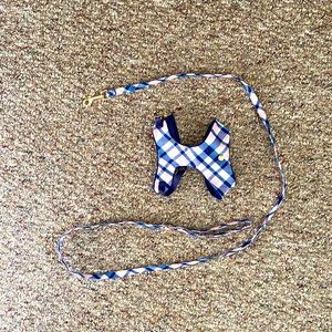 Matching leash and harness for a small / toy dog.